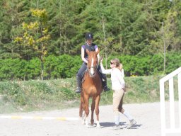 IMG_0525_web